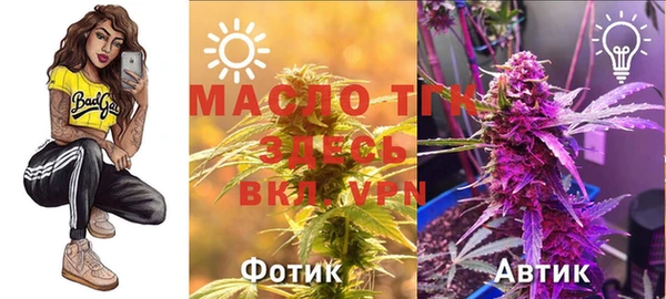ГАЛЛЮЦИНОГЕННЫЕ ГРИБЫ Арсеньев