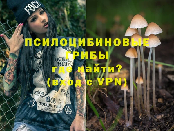 ГАЛЛЮЦИНОГЕННЫЕ ГРИБЫ Арсеньев