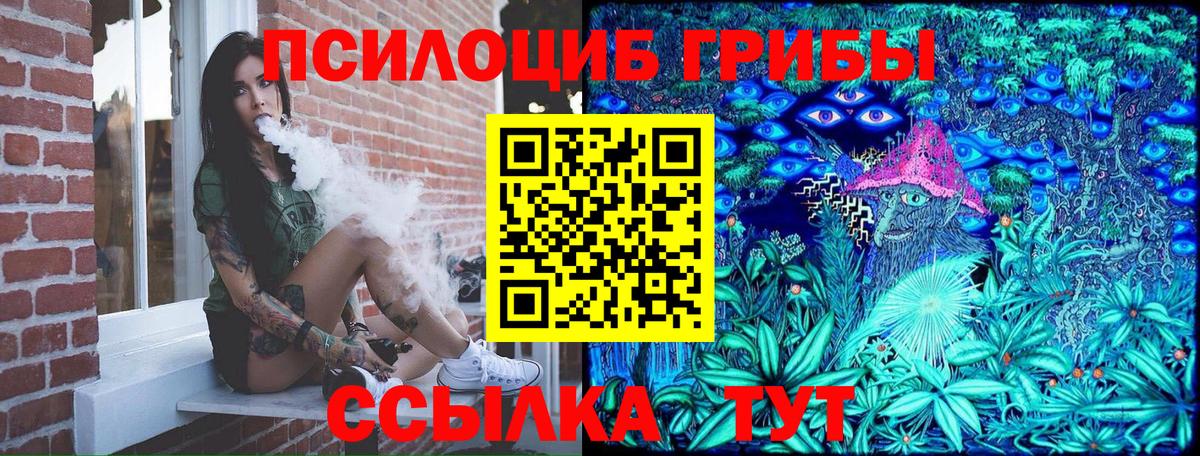 Псилоцибиновые грибы прущие грибы Каспийск