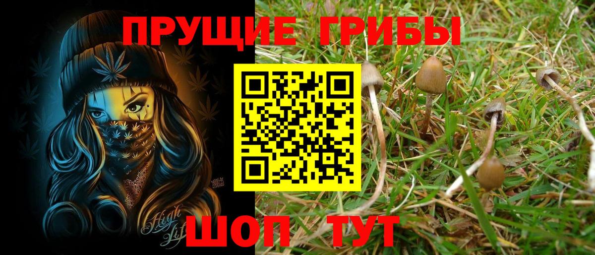 Псилоцибиновые грибы Magic Shrooms  Вход с VPN  Каспийск  Галлюциногенные грибы Magic Shrooms 
