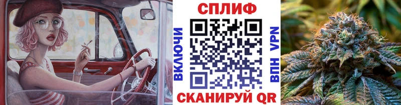 Канабис MAZAR Каспийск
